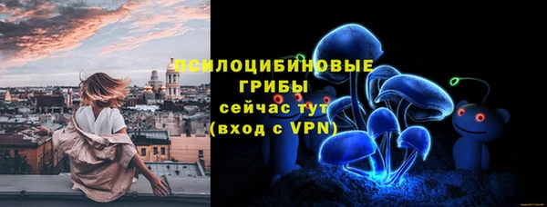 apvp Пестово