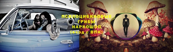 стафф Нефтекумск