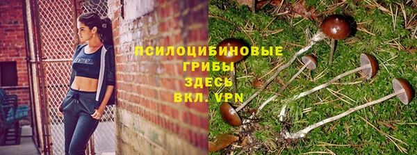 стафф Нефтекумск