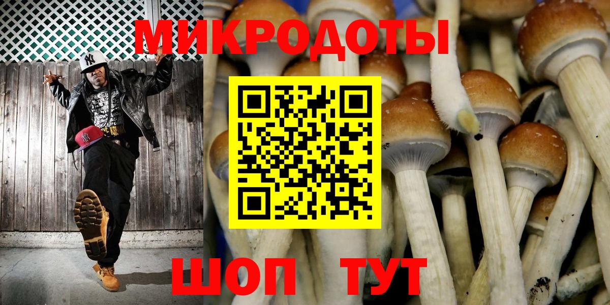 Галлюциногенные грибы мицелий Симферополь