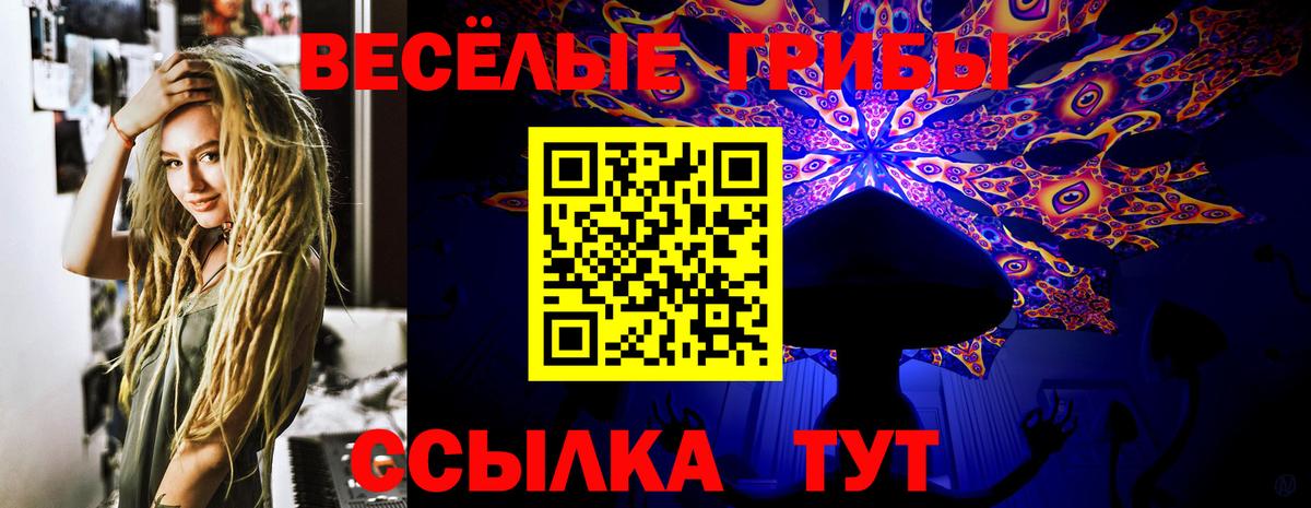 Симферополь  Галлюциногенные грибы мухоморы  Вход с VPN  Галлюциногенные грибы Psilocybe 